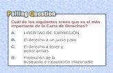 RR.U n SS.B TT.C UU.D Sección 1-pregunta de sondeoSección 1-pregunta de sondeo Cuál de los siguientes crees que es el más importante de la Carta de Derechos?