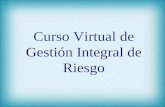 Curso Virtual de Gestión Integral de Riesgo. Elaborado y diseñado por: Expositor: César Caballero Samamé.