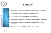Introducción al Cálculo Infinitesimal Tema 5: Aplicaciones de la Diferenciabilidad. José R. Narro 1 Tema 5 1.Extremos relativos de funciones de varias.