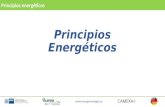 Principios Energéticos Principios energéticos .