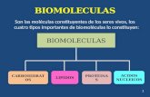Son las moléculas constituyentes de los seres vivos, los cuatro tipos importantes de biomoléculas lo constituyen: 1 LIPIDOSLIPIDOS PROTEINASPROTEINASCARBOHIDRATOSCARBOHIDRATOS.