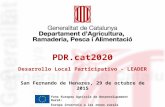 PDR.cat2020 Desarrollo Local Participativo - LEADER San Fernando de Henares, 29 de octubre de 2015 Fons Europeu Agrícola de Desenvolupament Rural: Europa.