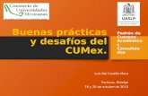 Buenas prácticas y desafíos del CUMex. Luis Del Castillo Mora Pachuca, Hidalgo 19 y 20 de octubre de 2015 Padrón de Cuerpos Académicos Consolidados.