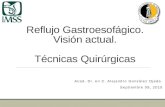 Reflujo Gastroesofágico. Visión actual. Técnicas Quirúrgicas Acad. Dr. en C. Alejandro González Ojeda. Septiembre 09, 2015.