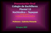 Integrantes : Zavaleta Nolasco Karina Presentación final Profesora : Gabriela Pichardo Grupo:309.