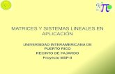 MATRICES Y SISTEMAS LINEALES EN APLICACIÓN UNIVERSIDAD INTERAMERICANA DE PUERTO RICO RECINTO DE FAJARDO Proyecto MSP-II.