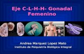 Eje C-L-H-H- Gonadal Femenino Andrea Marquez Lopez Mato Instituto de Psiquiatría Biológica Integral.