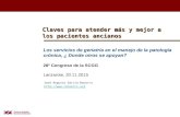 Los servicios de geriatría en el manejo de la patología crónica, ¿ Donde otros se apoyan? 28º Congreso de la SCGG Lanzarote, 20.11.2015 Claves para atender.