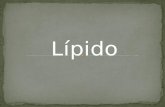 Los lípidos son un conjunto de moléculas orgánicas, la mayoría biomoléculas, compuestas principalmente por carbono e hidrógeno y en menor medida oxígeno,