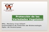 Protección de las Variedades Vegetales MSc. Marleny Cruz Gibert Examinadora de Patentes de Biotecnología Dpto. de Invenciones.