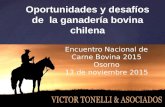 Oportunidades y desafíos de la ganadería bovina chilena Encuentro Nacional de Carne Bovina 2015 Osorno 13 de noviembre 2015.