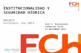 INSTITUCIONALIDAD Y SEGURIDAD HÍDRICA DWG2015 Fortaleza, nov.2015 Axel C. Dourojeanni Fundación Chile 25 NOVIEMBRE 2015.