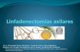 II Curso de formación en Patología Mamaria para MIR de Cirugía Gral. y Apto. Digestivo y Especialistas Quirúrgicos. Dr. J. Fernando Pérez Martínez. Cirujano.