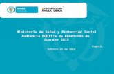 Ministerio de Salud y Protección Social Audiencia Pública de Rendición de Cuentas 2013 Bogotá, febrero 25 de 2014.