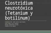 Clostridium neurotóxica (Tetanium y botilinum) ELABORADO POR: LÓPEZ REYES JUAN CARLOS. OCHOA RAMOS JULIO ANTONIO. RAMÍREZ MONDRAGÓN RICARDO. STREMPLER.