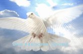 Versículo:  2ª Corintios 3:17-18  El Espíritu Santo es un miembro de la Divinidad, igual a Dios el Padre y a Dios el Hijo. Desde Génesis hasta Apocalipsis.