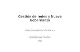 Gestión de redes y Nueva Gobernanza ESPECIALIDAD EN GESTIÓN PÚBLICA DIONISIO ZABALETA SOLÍS CIDE.