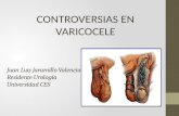 Juan Luis Jaramillo Valencia Residente Urología Universidad CES CONTROVERSIAS EN VARICOCELE.