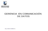 Ing. Carlos Padilla H. GERENCIA EN COMUNICACIÓN DE DATOS.