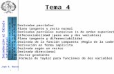 José R. Narro Introducción al Cálculo Infinitesimal Tema 4: Diferenciabilidad de funciones reales de varias variables reales. José R. Narro 1 Tema 4 1.Derivadas.