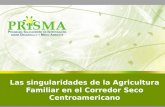 Las singularidades de la Agricultura Familiar en el Corredor Seco Centroamericano.