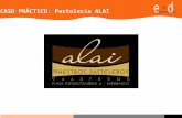 CASO PRÁCTICO: Pastelería ALAI. Empresa Primando la calidad y el servicio, se descuidaban aspectos organizativos y de orden Trabajadores Preocupados por.