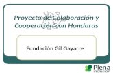 Proyecto de Colaboración y Cooperación con Honduras Fundación Gil Gayarre.