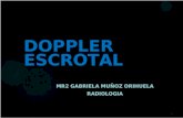 Doppler Escrotal
