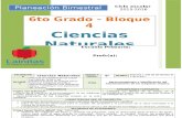 Plan 6to Grado - Bloque 4 Ciencias Naturales (2015-2016).doc