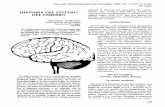 Historia Cerebro