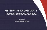 Cultura Organizacional RES