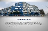 06 - Endocarditis