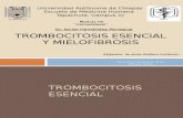 Trombocitosis esencial y Mielofibrosis