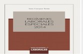 REGIMENES LABORARLES ESPECIALES.pdf