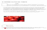 Cultivo Del Tomate Agroecosistemas