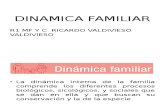 Dinamica Familiar Dr Valdiviezo