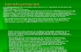Etnia Tarahumara