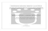 Modulo Riesgos y Control Informatico V5 2012 DEFINITIVO