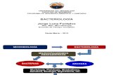 Capitulo Bacteriologia I.pdf