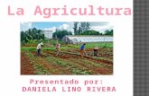 Agricultura Peru