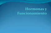 Hormonas y Funcionamiento 2012