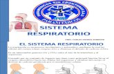 Sistema Respiratorio Psf