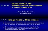 2.Biosintes­s de Metabolitos Primarios y Secundarios.2015