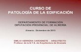 2013 Documentacion Curso Patologia