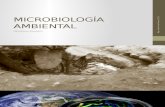s1-Introduccion a La Microbiología Ambiental