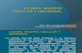 Lesion, Muerte Celular y Necrosis jesus