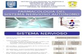 Farmacologia Del SNA. 1era Parte. Dra. María De Freitas.