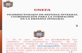 Plán de Estudio Defensa Integral UNEFA ENERO2016