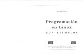 Programacion en Linux Kurt Wall