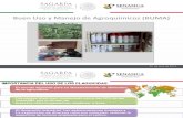 5. Buen Uso y Manejo de Agroquimicos (BUMA)-30julio2014